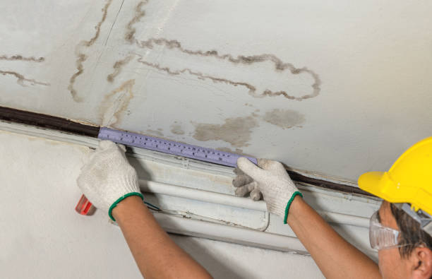 Reliable Water Damage contractor in Rowley, MA by Water Damage Irwin